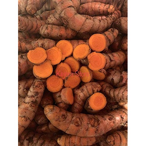 Kejora Fresh Whole Raw Yellow Turmeric, Naturally Grown from Fij...