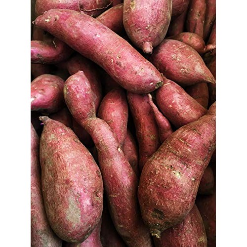 Kejora Japanese White Sweet Potatoes - 10 Lbs