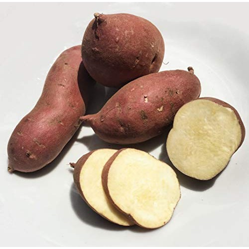 Kejora Japanese White Sweet Potatoes - 10 Lbs