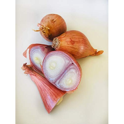 Kejora Shallots Bulbs - 1/2 Lb About 10 Bulbs Produce Of Usa