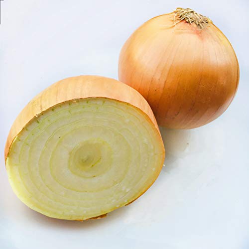 Kejora Yellow Onion - 10 Lbs Non Gmo &Amp; Gluten Free