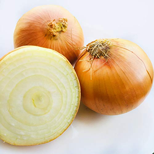 Kejora Yellow Onion - 10 Lbs Non Gmo &Amp; Gluten Free
