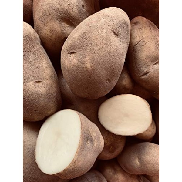 Russet Potatoes Non Gmo-Gluten Free Produce Of Usa - 5 Lbs