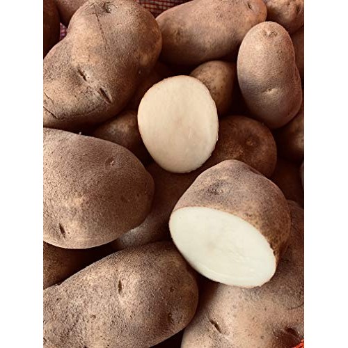 Russet Potatoes Non Gmo-Gluten Free Produce Of Usa - 5 Lbs