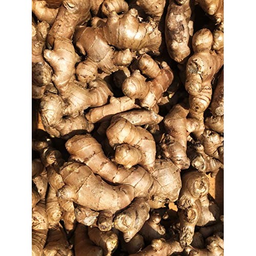 Usda Certified Organic Fresh Ginger Root From Peru - 2 Lb