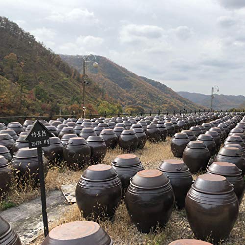 Jookjangyeon Premium Doenjang Soybean Paste 죽장연 전통된장