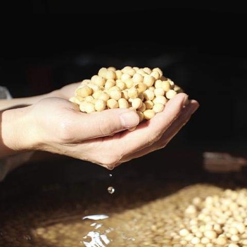 Jookjangyeon Premium Doenjang Soybean Paste 죽장연 전통된장