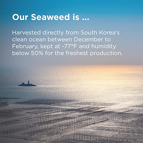 Kimnori Kwangcheonkim Master Seasoned Seaweed Snacks – Gift Box ...