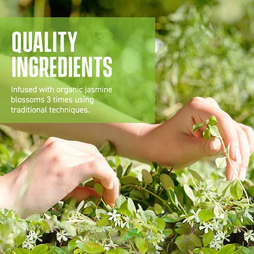 Jasmine Dragon Pearls Green Tea - Premium Flavor Organic Tea Jas