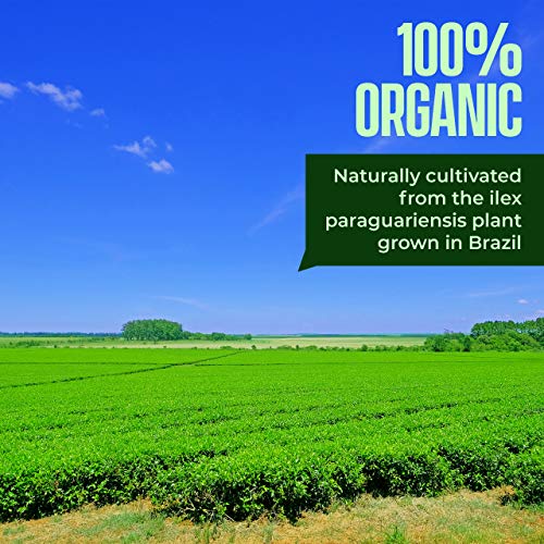 Organic Yerba Mate Loose Leaf Tea - 1.1 Pounds 17.6 Oz. - Trad