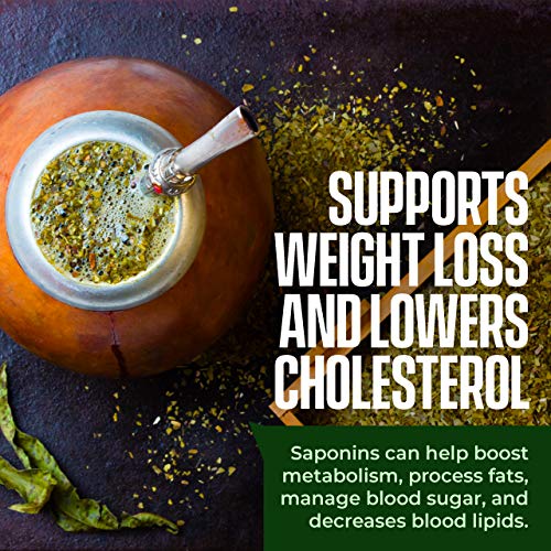 Organic Yerba Mate Loose Leaf Tea - 1.1 Pounds 17.6 Oz. - Trad