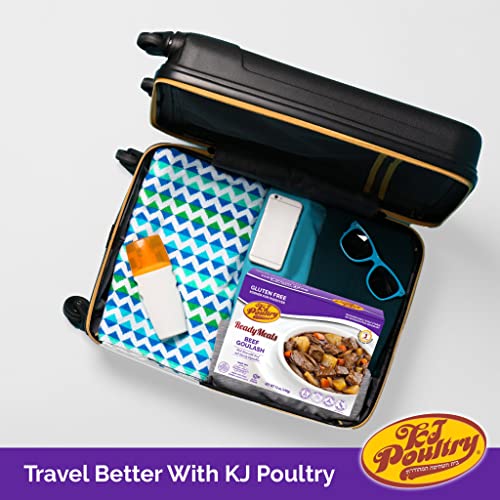 Kosher for Passover Gluten Free Meals, Matzo Ball Chicken Soup +...