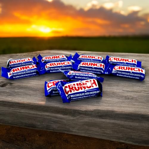 Nestle Crunch Mini Bars -1.5 lbs Individually Wrapped Crunchy Ba...