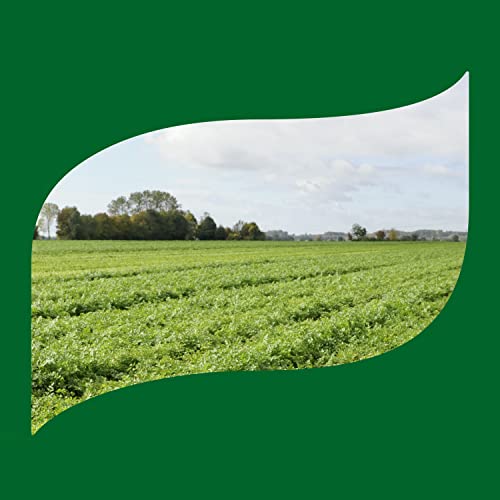 Knorr Beef Flavor Bouillon For Soups, Sauces and Broth Granulate...