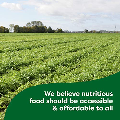 Knorr Concentrated Stock For A Flavorful And Aromatic Chicken St