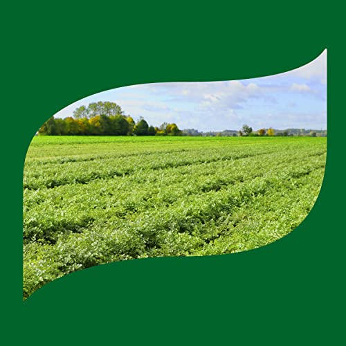 Knorr Mi Arroz Rice Seasoning Mix Add Authentic Flavor To Any Di