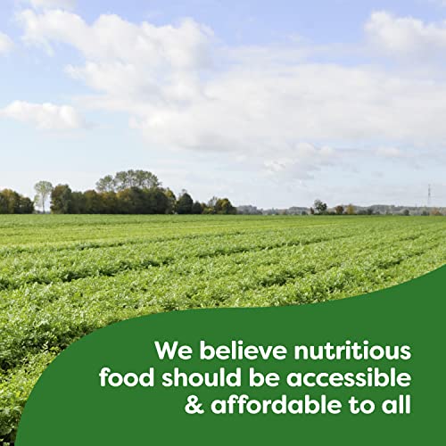 Knorr Pasta Sides Cheddar Broccoli, 4.3 Ounce Pack of 6