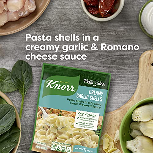 Knorr Pasta Sides For Delicious Quick Pasta Side Dishes Creamy G...