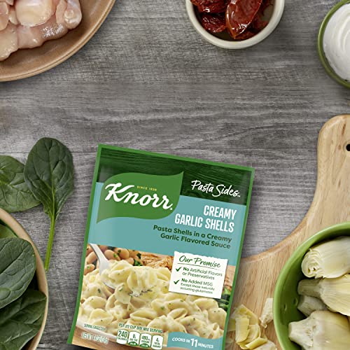 Knorr Pasta Sides For Delicious Quick Pasta Side Dishes Creamy G...