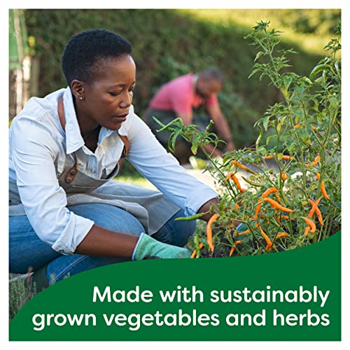 Knorr Vegetable Stock Cubes, 8 x 10g