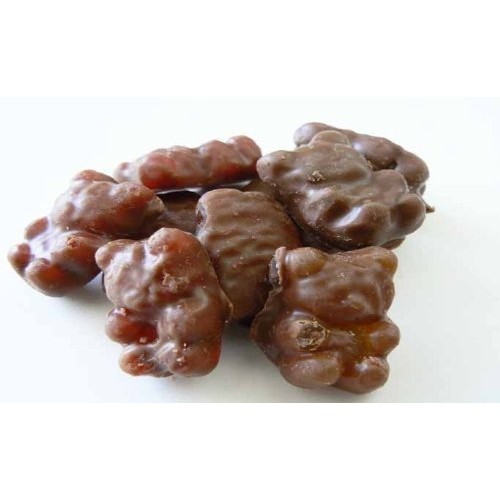 Milk Chocolate Covered Gummy Bears 5 Pound Bag Bulk