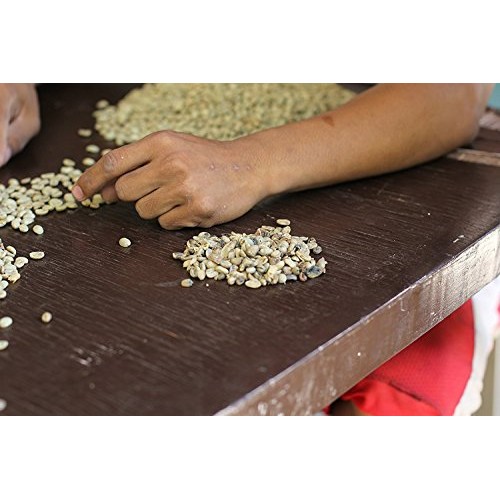 Kopi Luwak Direct Wild Kopi Luwak Coffee, 2.4 Oz / 70 Grams