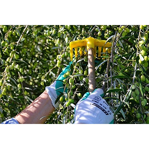 Kouzini 3L - 101.4 Fl Oz Extra Virgin Greek Olive Oil | First