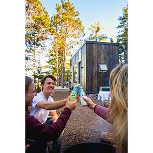 Coconut Milk Drink Original Mango 9.8Fl Oz Pack Of 12