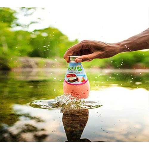 Coconut Milk Drink Original Mango 9.8Fl Oz Pack Of 12