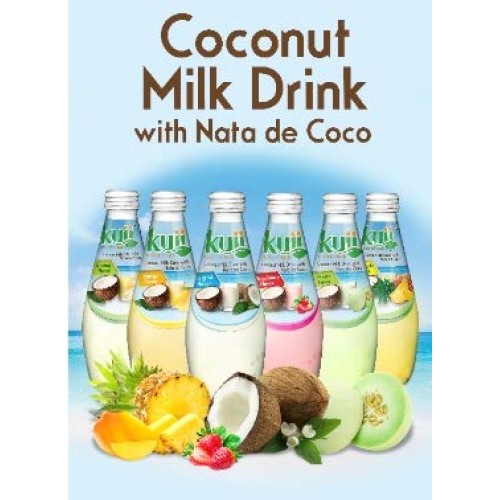 Coconut Milk Drink Original Mango 9.8Fl Oz Pack Of 12