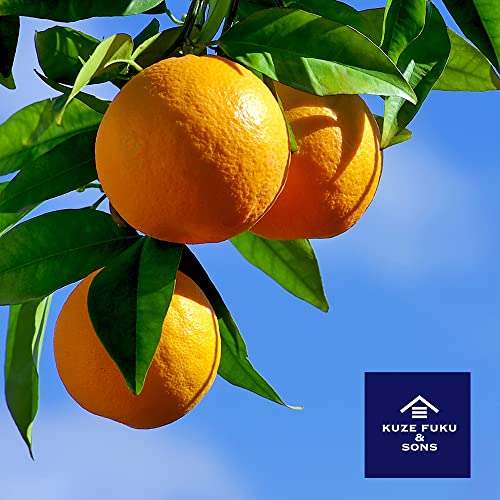 [Kuze Fuku &Amp; Sons] Orange Marmalade Premium, Made With Natural N