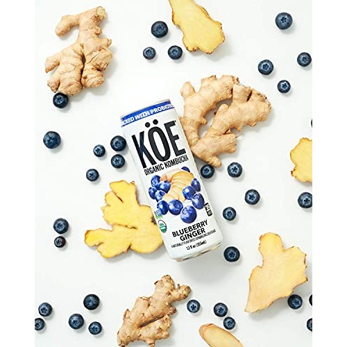 Köe Organic Kombucha Cans, Blueberry Ginger, 12 Ounces, Pack Of 12