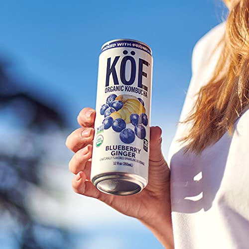 Köe Organic Kombucha Cans, Blueberry Ginger, 12 Ounces, Pack Of 12