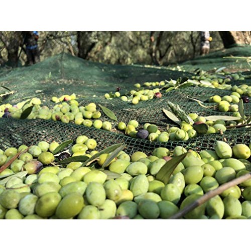 Laconiko Ultra Premium Extra Virgin Olive Oil Blood Orange