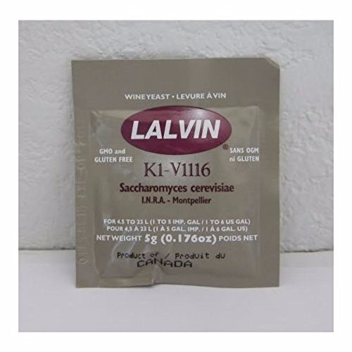 K1-V1116 Saccharomyces Cerevisiae 5 G. Pouch