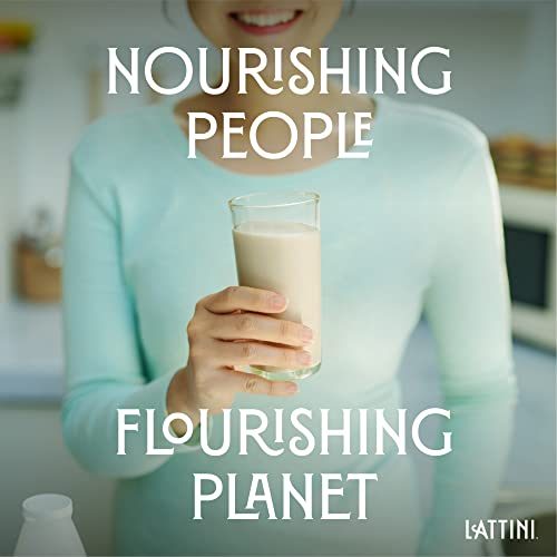 Lattini Variety Pack Non-Dairy Sunflower Milk | Plant-Based, Veg...