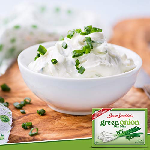 Laura Scudders Green Onion Dry Dip Mix And Seasoning - Great For