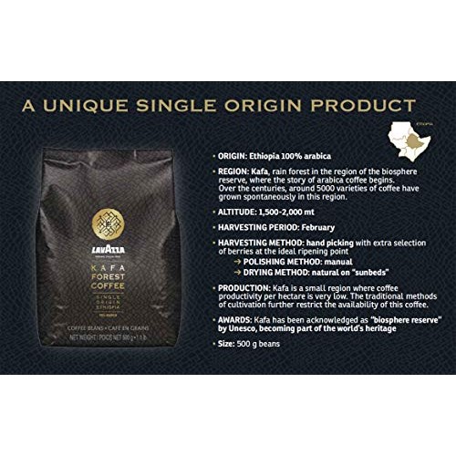 Lavazza Kafa Forest Coffee Whole Beans, Single Origin Ethiopia,