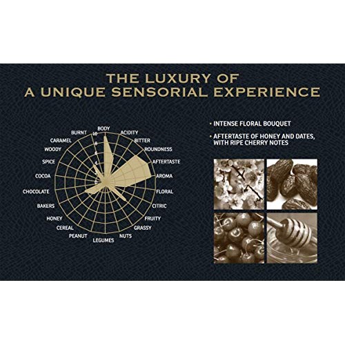 Lavazza Kafa Forest Coffee Whole Beans, Single Origin Ethiopia,