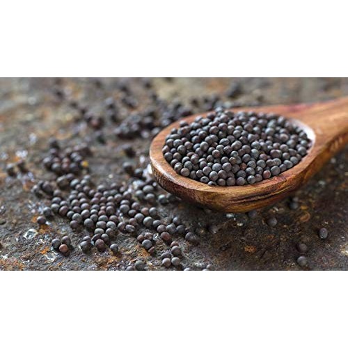 Lavingo Organically Grown Black Mustard Seeds Whole | Brassica N