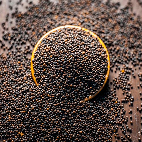 Lavingo Organically Grown Black Mustard Seeds Whole | Brassica N