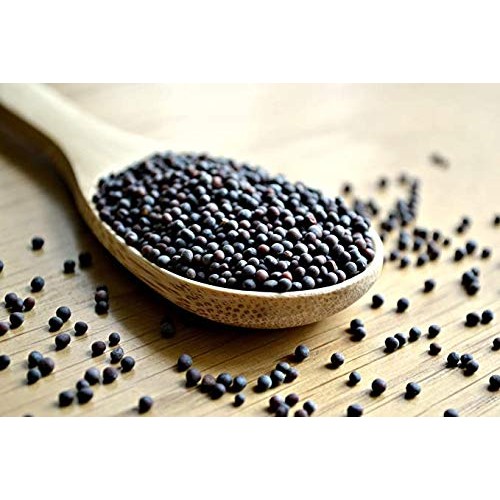 Lavingo Organically Grown Black Mustard Seeds Whole | Brassica N