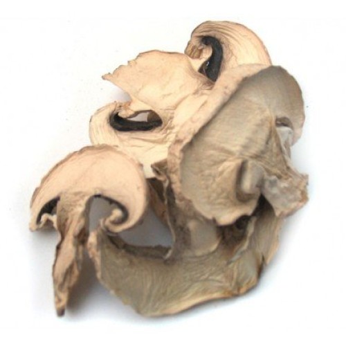 Dried White Button Mushroms - 4 Oz. Life Gourmet Shop