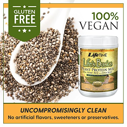 Lifetime Life’S Basics Plant Based Protein Powder, Natural Vanil