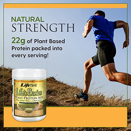 Lifetime Life’S Basics Plant Based Protein Powder, Natural Vanil