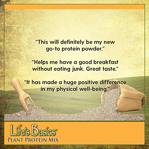 Lifetime Life’S Basics Plant Based Protein Powder, Natural Vanil
