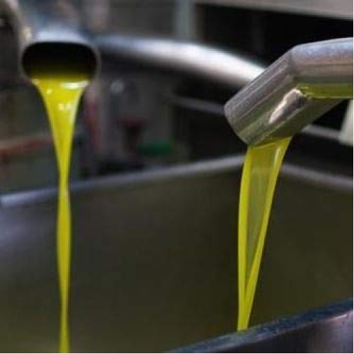 Basil Extra Virgin Olive Oil - Greek Cold Fused Basil Evoo - Org