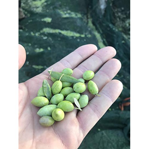 Greek Oregano Extra Virgin Olive Oil - Greek Oregano Cold Presse