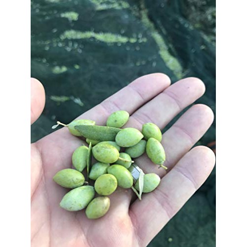 Lemon Olive Oil - Greek Extra Virgin Olive Oil Cold Pressed W/ L