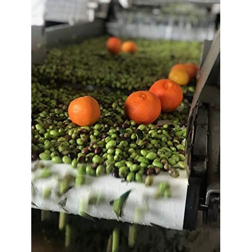 Orange Oil - Cold Fused Greek Extra Virgin Olive Oil - Organic -